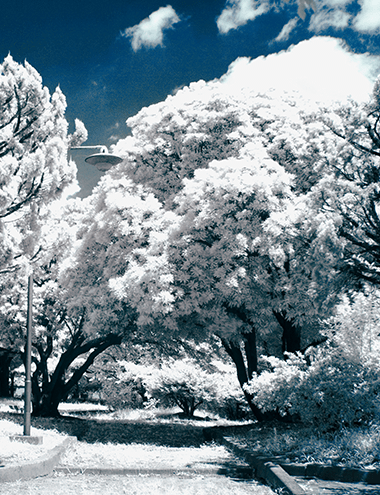 Infrared_first_thum